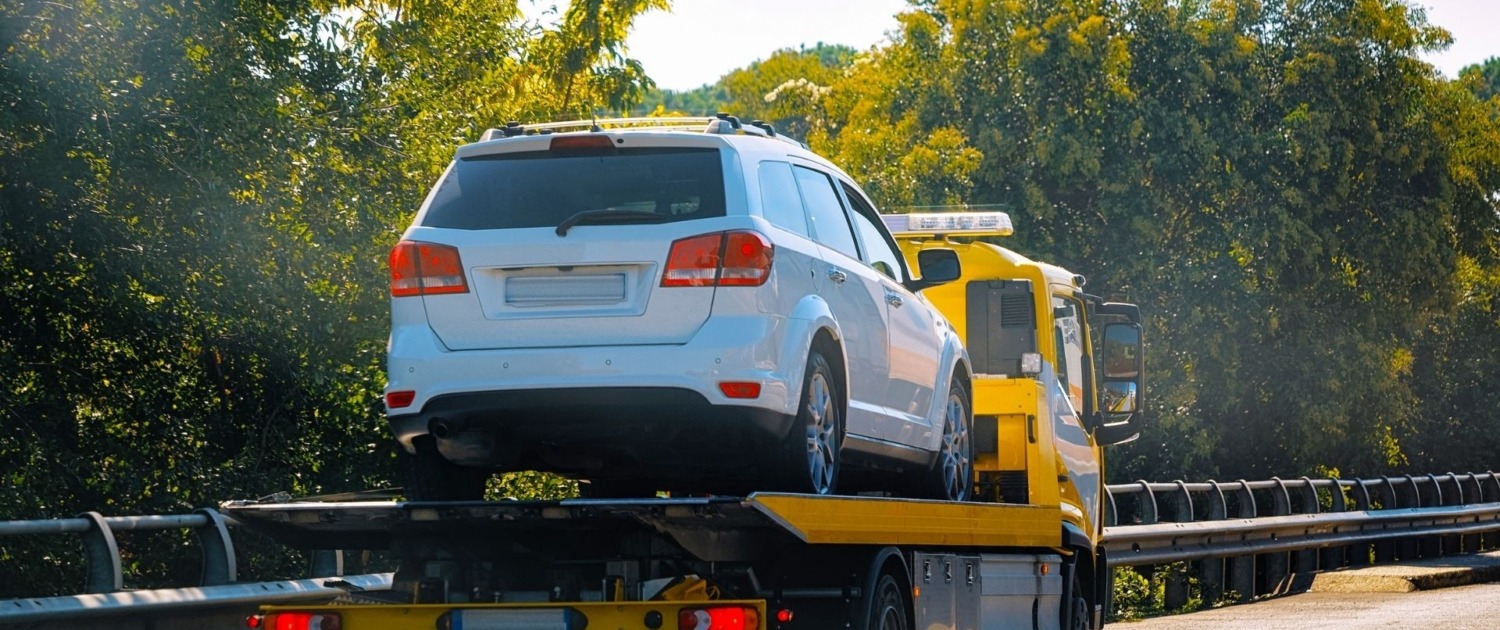 karabaglar-cekici (2)